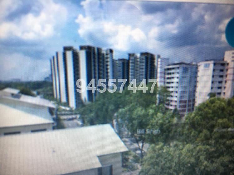Blk 484 Jurong West Avenue 1 (Jurong West), HDB 3 Rooms #142694432